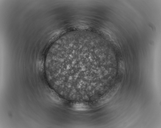 X0000112470177200908311357