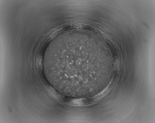 X0000112470178200908311357