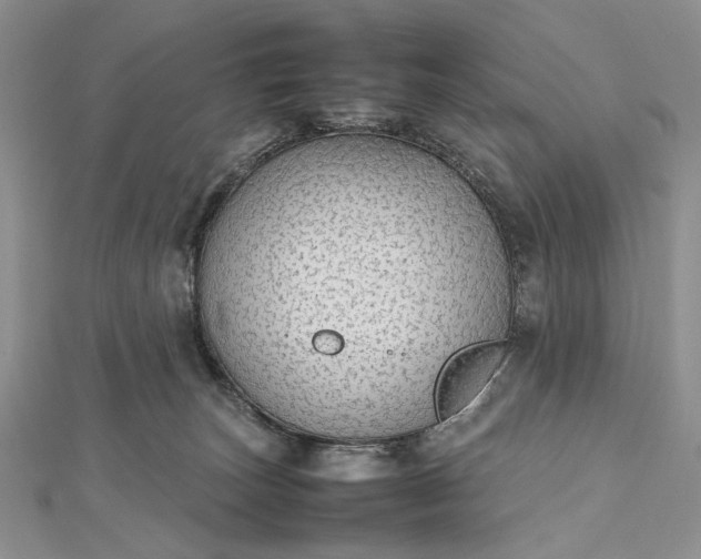 X0000112470179200908311357