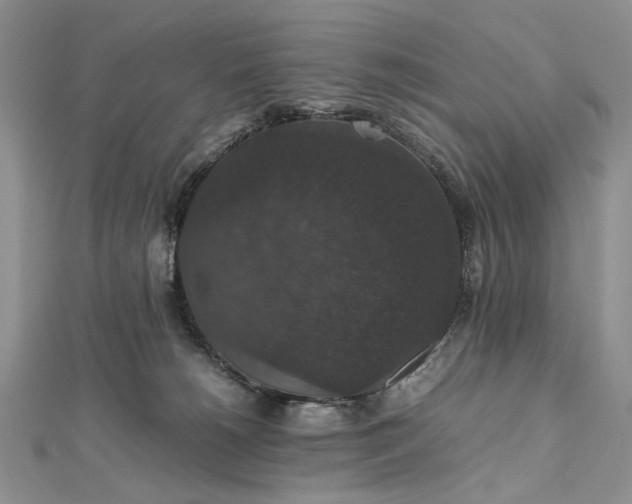 X0000112470180200908311357