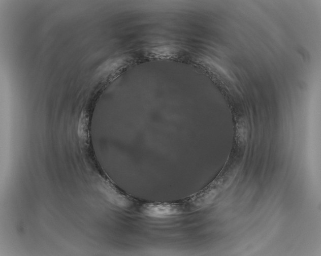 X0000112470181200908311357