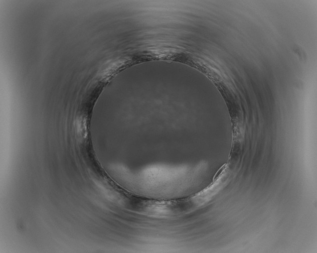 X0000112470182200908311357