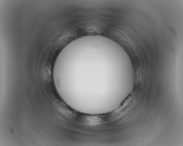 X0000112470183200908311357