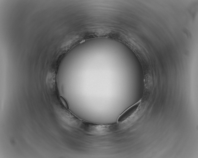 X0000112470184200908311357