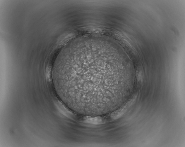 X0000112470185200908311357