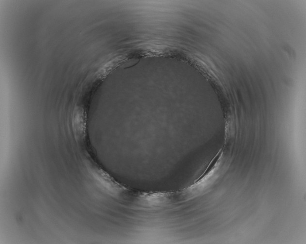 X0000112470186200908311357