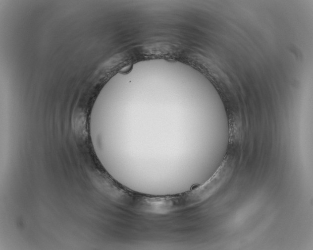 X0000112470187200908311357