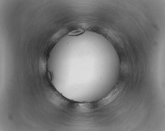 X0000112470188200908311357