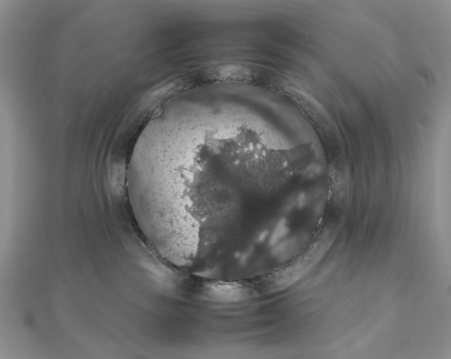 X0000112470189200908311357