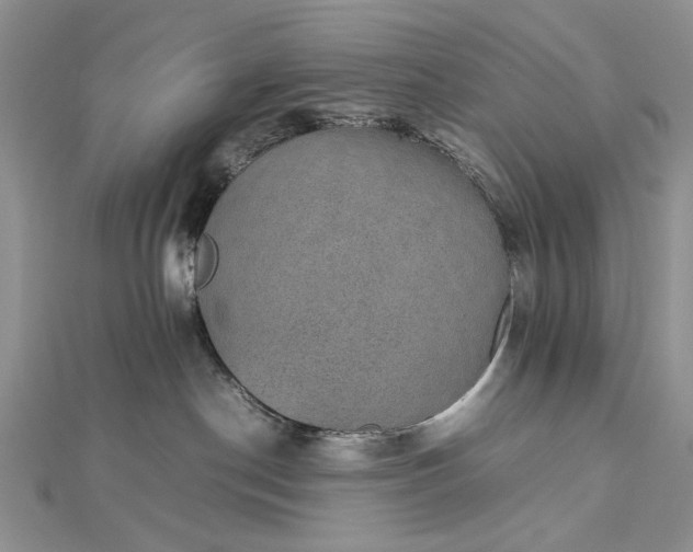 X0000112470190200908311357