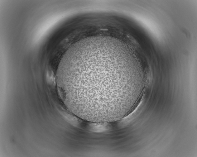 X0000112470191200908311357