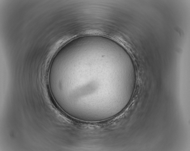 X0000112470193200908311357