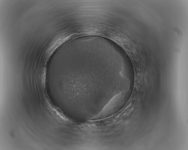 X0000112470194200908311357