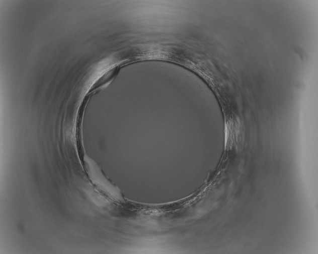 X0000112470195200908311357