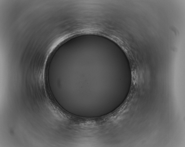 X0000112470196200908311357