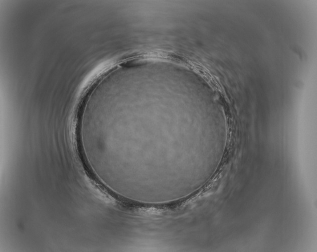 X0000112470197200908311357