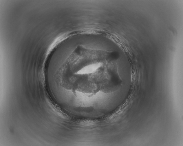 X0000112470198200908311357