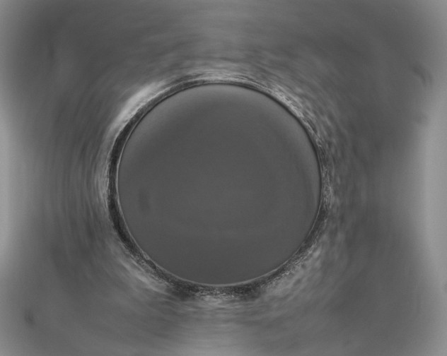 X0000112470199200908311357