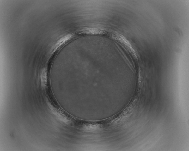 X0000112470202200908311357