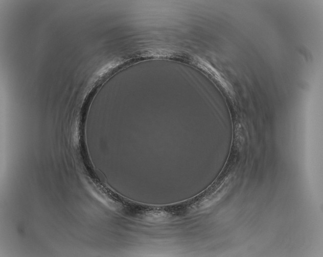 X0000112470203200908311357