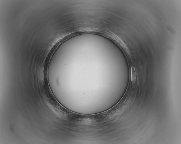 X0000112470204200908311357