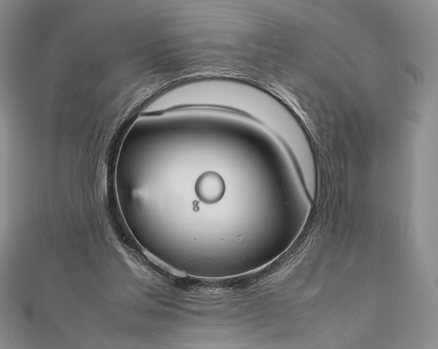 X0000112470205200908311356