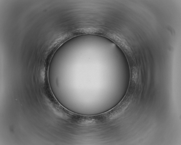 X0000112470206200908311356