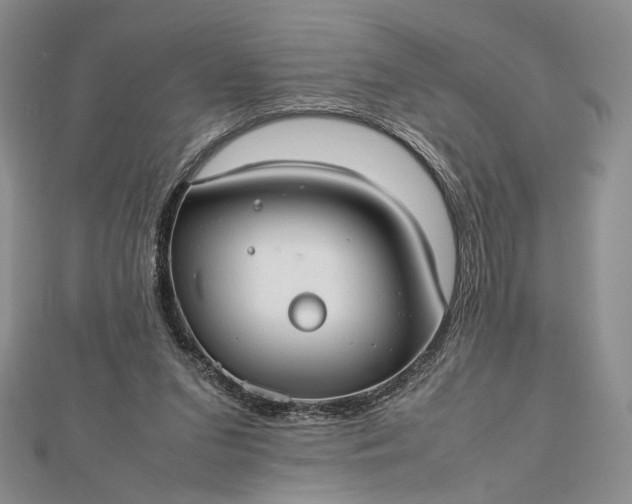 X0000112470207200908311356