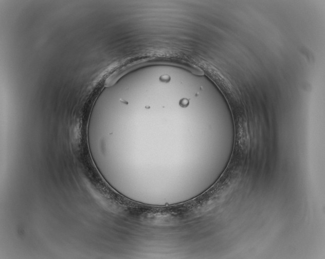 X0000112470208200908311356