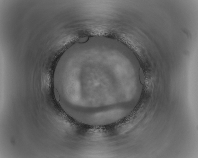 X0000112470211200908311356