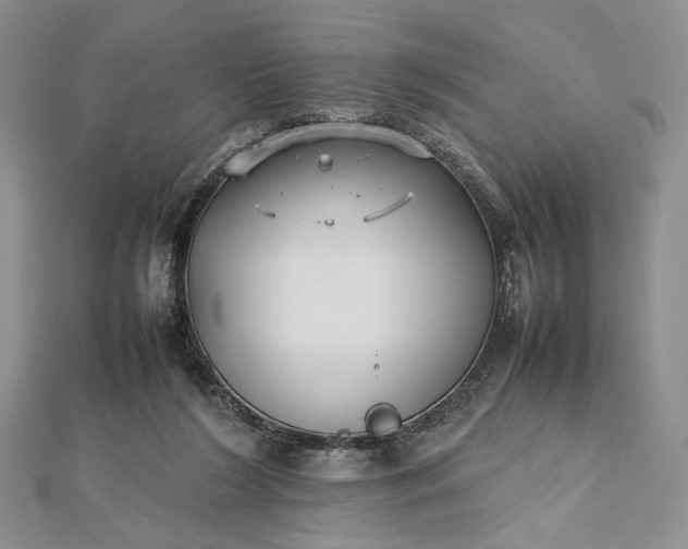 X0000112470212200908311356