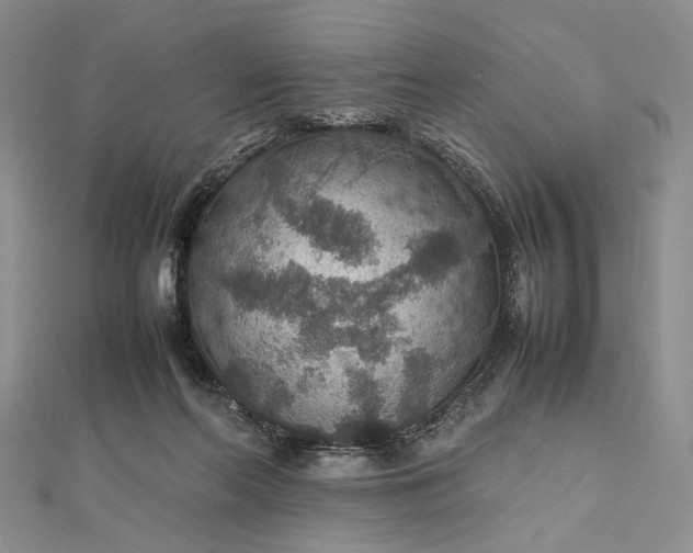 X0000112470214200908311356