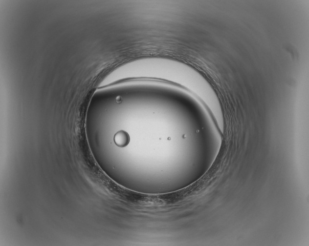 X0000112470215200908311356