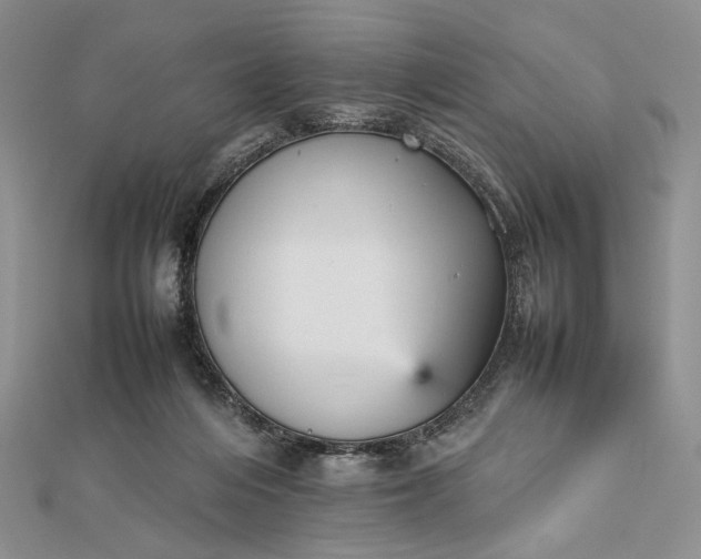 X0000112470216200908311356