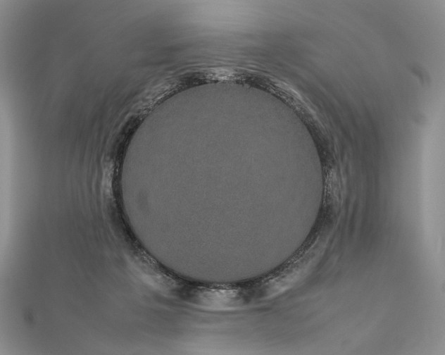 X0000112470217200908311356