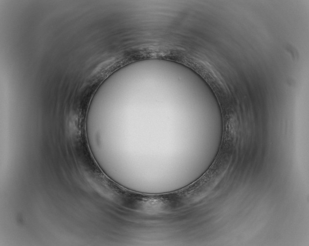 X0000112470218200908311356