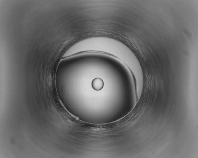 X0000112470220200908311356