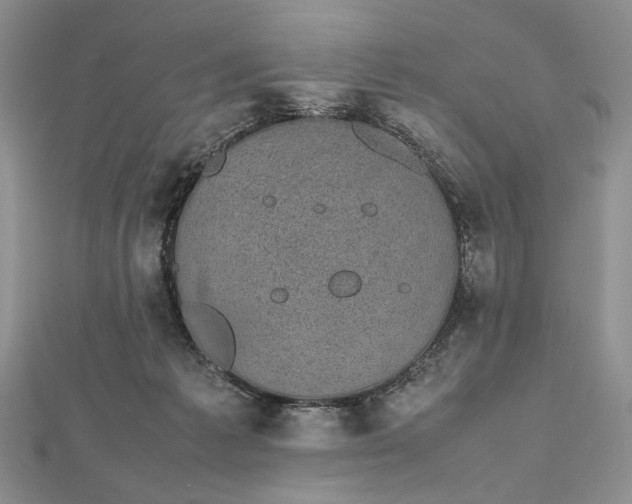 X0000112470221200908311356