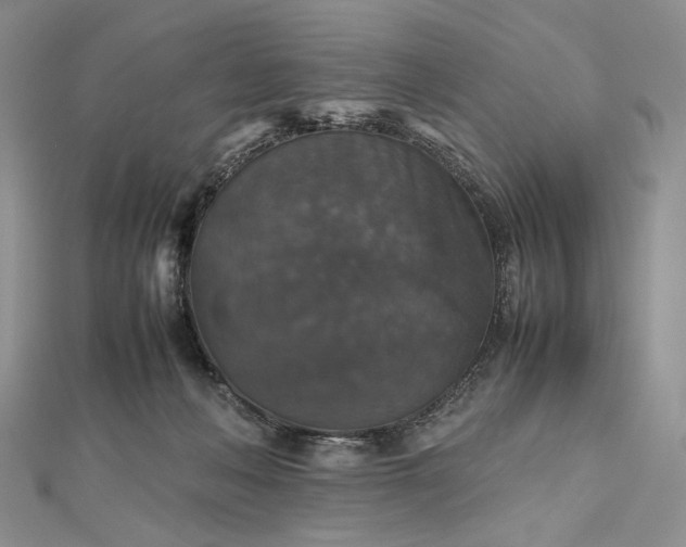 X0000112470222200908311356