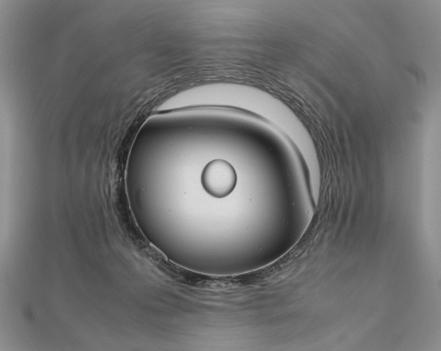 X0000112470223200908311356