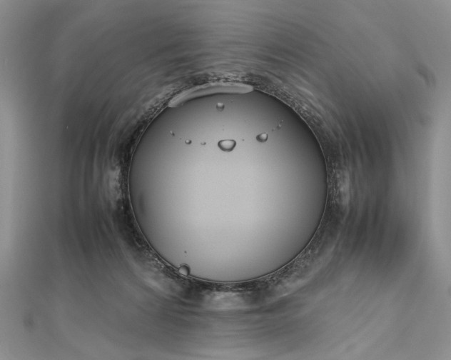 X0000112470224200908311356