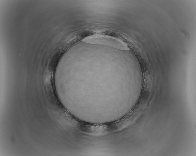 X0000112470225200908311356