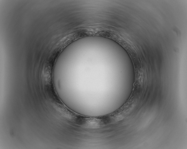 X0000112470226200908311356