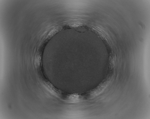 X0000112470227200908311356