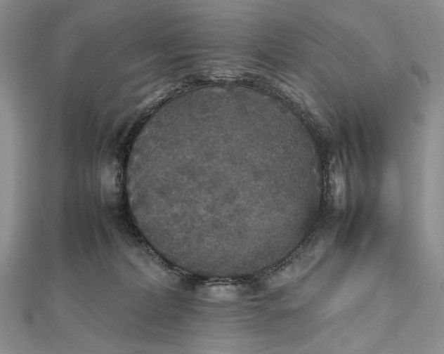 X0000112470228200908311356