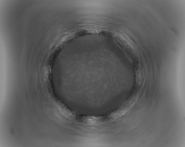 X0000112470229200908311356