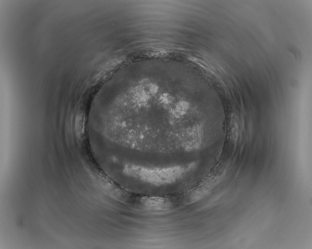 X0000112470230200908311356