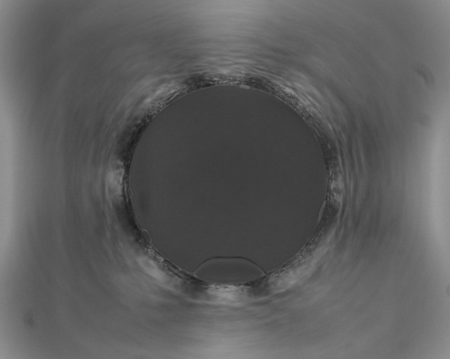 X0000112470231200908311356