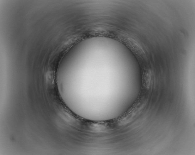 X0000112470232200908311356