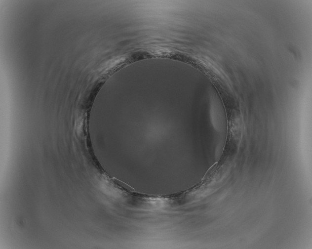 X0000112470233200908311356